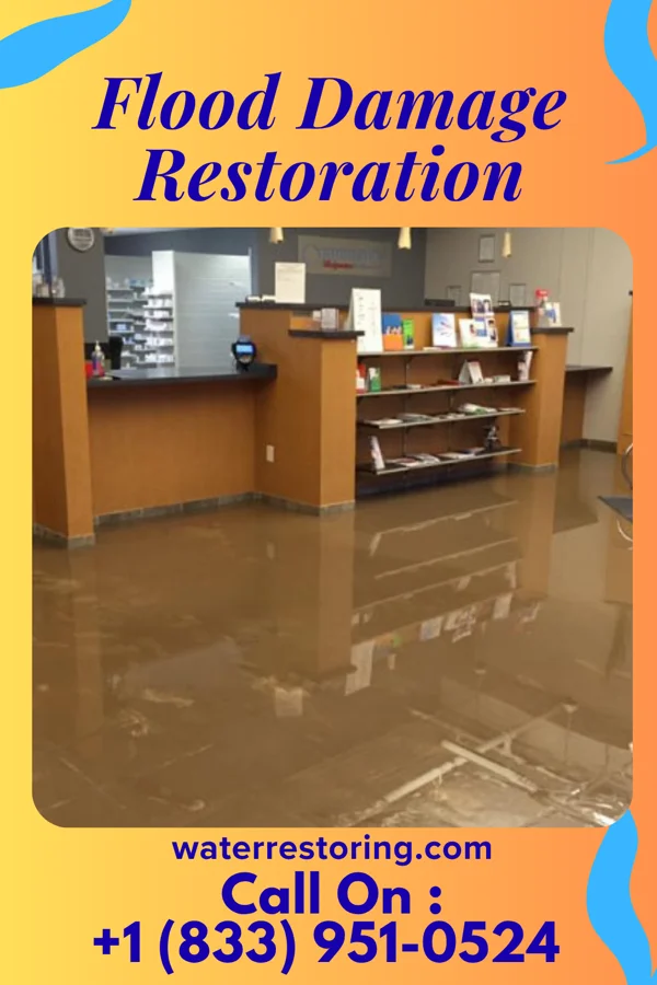 Flood Damage Restoration in Auburn, IA